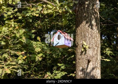 Ein Vogelnistkasten auf einem Baum. Farbenfrohe Vogelnistbox aus Holz. Stockfoto