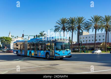 Anaheim, CA, USA – 3. November 2022: Ein langer Gelenkbus für den Anaheim Resort Transportation (ART) fährt in den Resortbezirk in Anaheim, Calif Stockfoto