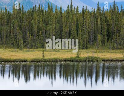 Reflections in Tonglen Lake, Alaska, USA. Stockfoto