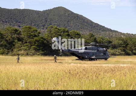 Ein US Marine Corps CH-53E Super Hengst bereitet sich auf die Durchführung eines externen Aufzugs während einer Trainingsveranstaltung in Camp Hansen, Okinawa, Japan, am 3. November 2022 vor. Das Training erhöhte die Fähigkeiten auf dem Schlachtfeld und die Kampfbereitschaft in allen Einheiten der Marine Air-Ground Task Force und erweiterte gleichzeitig die Fähigkeit für Kommandeure, Artillerieanlagen in kargem Gelände zu verlagern. (USA Marine Corps Foto von CPL. Lorenzo Ducato) Stockfoto