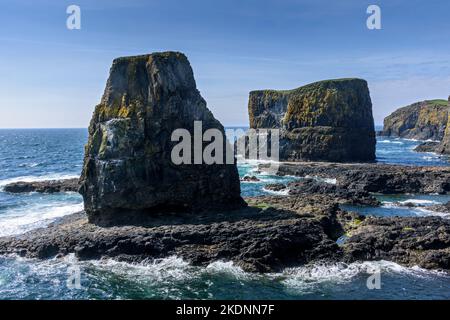Die Seestapel von Dùn Beag (links) und Dùn Mòr auf der Insel Sanday, Schottland, Großbritannien. Stockfoto
