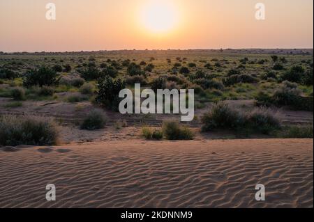 Die Sonne geht am Horizont der Wüste Thar, Rajasthan, Indien, auf. Touristen aus ganz Indien besuchen, um den Sonnenaufgang in der Wüste Thar zu beobachten. Stockfoto