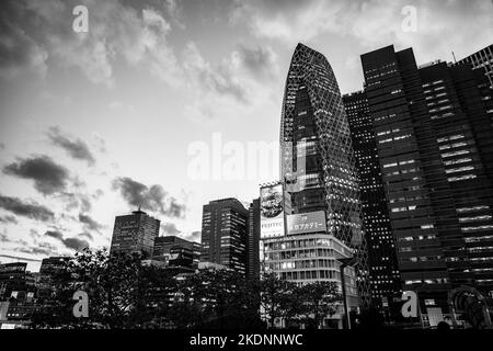 Tokio, Japan. 7.. November 2022. Skyline-Aufnahmen der Stadt Shinjuku in Tokio. Shinjuku ist einer der wichtigsten kommerziellen zentralen Geschäftsviertel Japans und der Sitz der Metropolitan Tokyo Regierung. Shinjuku ist berühmt für seine reiche Kultur der Fotografie, den verkehrsreichsten Bahnhof der Welt und beherbergt Yodobashi Camera, eine große Elektronikfachgeschäft-Kette. (Bild: © Taidgh Barron/ZUMA Press Wire) Stockfoto