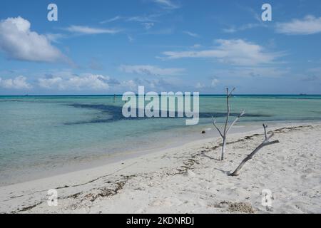 Dhiffushi ist die östlichste bewohnte Insel der Malediven und erlebt den Sonnenaufgang zuerst im Land. Wunderschöne Nachmittagsszene. Stockfoto