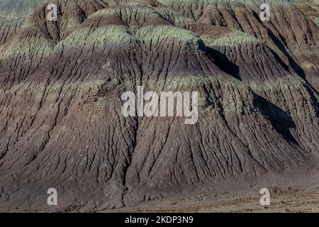 Versteinertes Holz erodiert aus einer Matrix aus weicheren Sedimenten Jasper Forest im Petrified Forest National Park, Arizona, USA Stockfoto