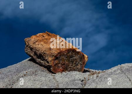 Versteinertes Holz erodiert aus einer Matrix aus weicheren Sedimenten Jasper Forest im Petrified Forest National Park, Arizona, USA Stockfoto