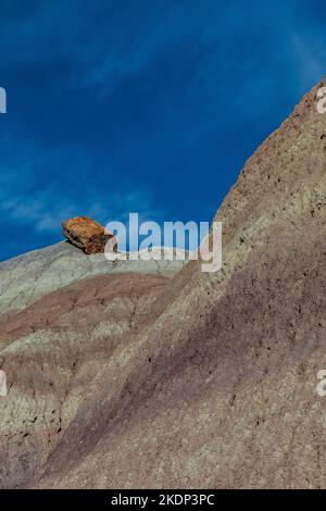 Versteinertes Holz erodiert aus einer Matrix aus weicheren Sedimenten Jasper Forest im Petrified Forest National Park, Arizona, USA Stockfoto