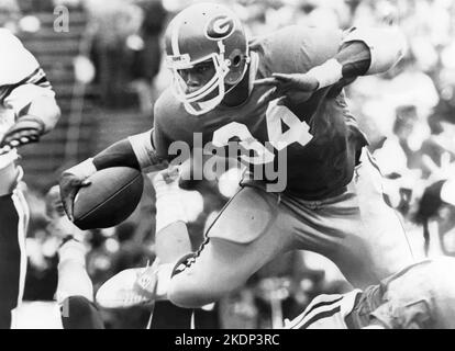 !982 Heisman Trophy Gewinner, läuft zurück Hershel Walker, während eines University of Georgia Fußballspiel. (USA) Stockfoto