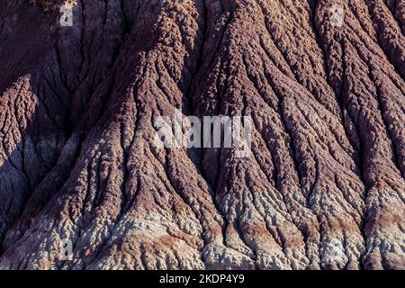 Versteinertes Holz erodiert aus einer Matrix aus weicheren Sedimenten Jasper Forest im Petrified Forest National Park, Arizona, USA Stockfoto