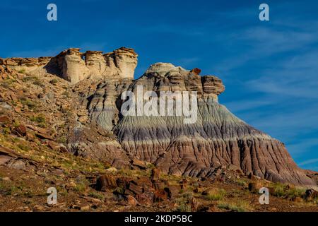 Versteinertes Holz erodiert aus einer Matrix aus weicheren Sedimenten Jasper Forest im Petrified Forest National Park, Arizona, USA Stockfoto