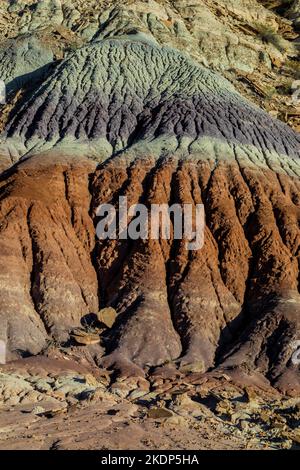 Versteinertes Holz erodiert aus einer Matrix aus weicheren Sedimenten Jasper Forest im Petrified Forest National Park, Arizona, USA Stockfoto