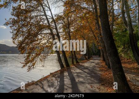 Eine kleine Landstraße am Ufer eines Sees mit Bäumen in warmen Herbstfarben Stockfoto