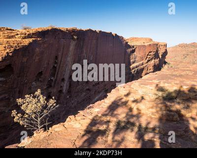 Guano-geschüttelte Südwand vom Cotterills Lookout, Kings Canyon, Watarrka National Park, Northern Territory, Australien Stockfoto