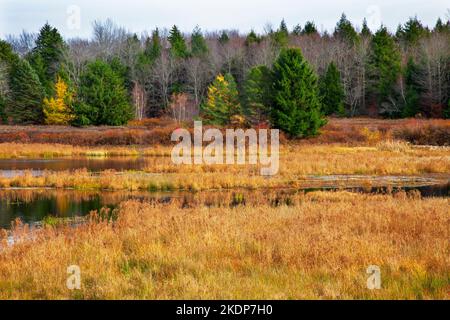 Upper Klondike Pond, zusammen mit seiner Schwester Lower Klondike Pond, auf dem Quellwasser des Lehigh River in Pennsylvania Pocono Mountains, wo importa Stockfoto