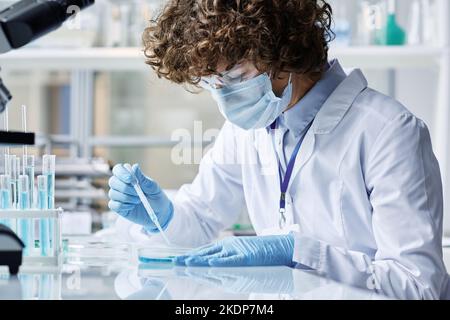 Junge Forscherin, die zwei chemische Substanzen in einer Petrischale mischt, während sie neue Bakterien oder Viren am Arbeitsplatz im Labor untersucht Stockfoto