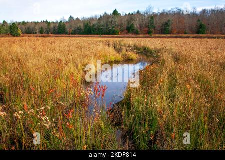 Upper Klondike Pond, zusammen mit seiner Schwester Lower Klondike Pond, auf dem Quellwasser des Lehigh River in Pennsylvania Pocono Mountains, wo importa Stockfoto