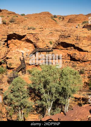 Treppen, die sich an der Canyon-Wand über Ghost Gums (Corymbia aparrerinja), Rim Walk, Kings Canyon, Watarrka National Park, Stockfoto