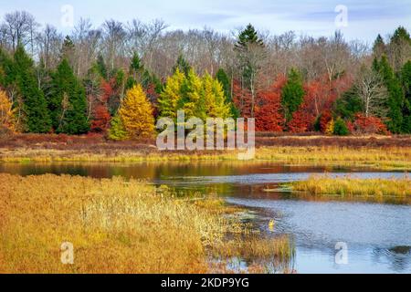 Upper Klondike Pond, zusammen mit seiner Schwester Lower Klondike Pond, auf dem Quellwasser des Lehigh River in Pennsylvania Pocono Mountains, wo importa Stockfoto