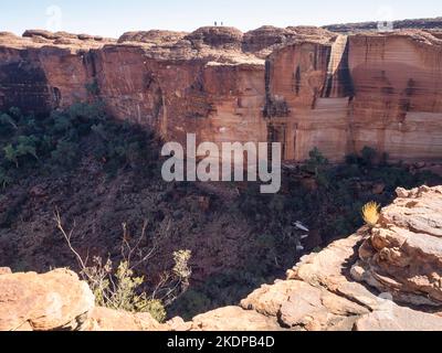 Der schiere Rand des Cotterills Lookout von der South Wall, Kings Canyon, Watarrka National Park, Northern Territory, Australien Stockfoto