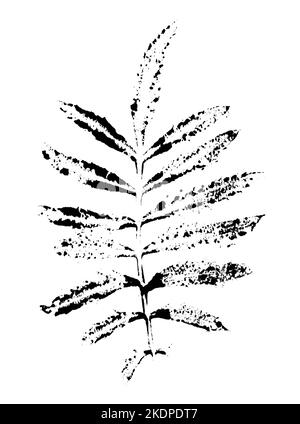 Blattdruck mit Tinte. Für Entwürfe über Natur, Pflanzen, Leben. Schwarz isoliert auf Weiß Stockfoto