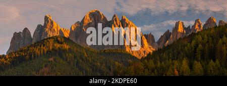 Ein breites Panoramabild von einem Sonnenuntergang im Herbst vor den Geisler- oder Geisler-Dolomiten-Gipfeln im Villental, Südtirol, Italien. Stockfoto