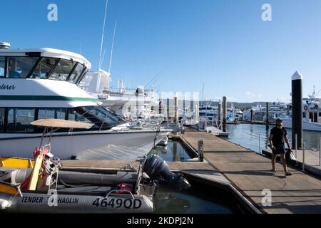 Die Boote vertäuten an der Crystalbrook Superyacht Marina, Dickson Inlet, Port Douglas, Queensland, Australien Stockfoto