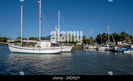 Die Boote vertäuten an der Crystalbrook Superyacht Marina in Port Douglas, Queensland, Australien Stockfoto