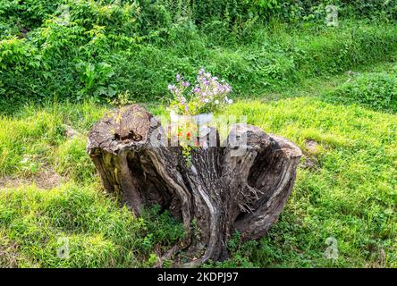 Dekorative Blumen in der Metallvase auf dem alten Stumpf im Sommer Sonnentag Stockfoto