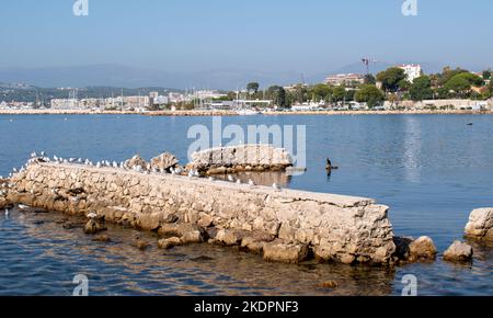 Der Strand von Juan-les-Pins in der Nähe von Nizza, Côte d'Azur, Frankreich Stockfoto