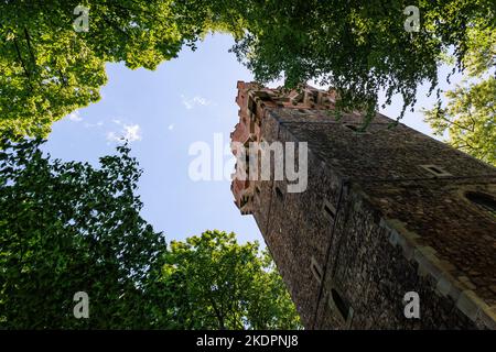 Der Piastenturm, Teil des Schlosses Cieszyn, einer Hochburg der Gotik und Renaissance in der Grenzstadt Cieszyn in Polen Stockfoto