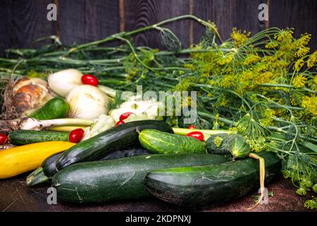 Die erste Ernte von Gemüse aus dem Garten. Stockfoto