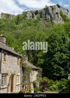 Ravensdale Cottages, Cressbrook, Derbyshire, Großbritannien; ehemalige Wohnungen für die Arbeiter der nahegelegenen Cressbrook Mill Stockfoto