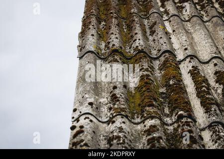Nahaufnahme des Wellpappendachs auf dem Nebengebäude in Polen Stockfoto