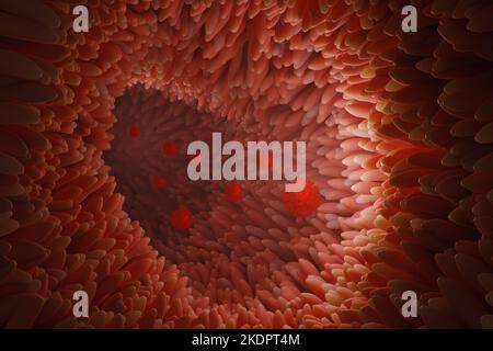Mikrovilli auf der Oberfläche des Verdauungssystems oder des Darmtraktes mit Viren im Inneren. 3D Rendern. Stockfoto