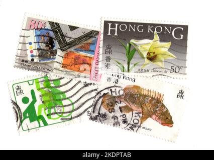 Eine Montage von alten Briefmarken aus Hongkong auf weißem Hintergrund. Stockfoto