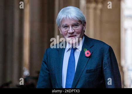 Downing Street, London, Großbritannien. 8.. November 2022. Der Abgeordnete Andrew Mitchell, Staatsminister (Minister für Entwicklung) im Außenministerium, Commonwealth and Development Office, nimmt an der wöchentlichen Kabinettssitzung in der Downing Street 10 Teil. Foto von Amanda Rose/Alamy Live News Stockfoto