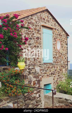 Steinhaus Außenwand in der mediterranen Küstenstadt Collioure, dekoriert mit Pflanzentopf, Blumen und blauen hölzernen Fensterläden Stockfoto