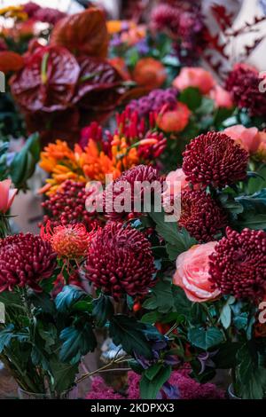 Dunkles Pflaumenlila Chrysanthemen Blumenhintergrund. Stockfoto