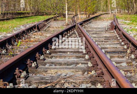 Verlassene alte, rostige Bahngleise, die in einen Wald oder Wald führen Stockfoto