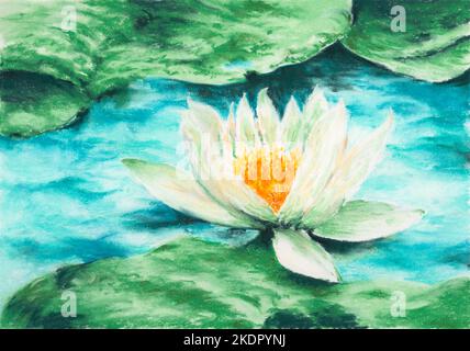 Weiße Seerose (Nymphaea alba). Weiches Pastell auf Papier. Stockfoto