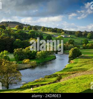 Landschaftlich reizvolle Landschaft im ländlichen Tal (Wasser des Flusses Wharfe, Bauernhöfe, Bäume am Fluss, Steinmauer, Herbstabendsonne) - Yorkshire Dales, England, Großbritannien. Stockfoto