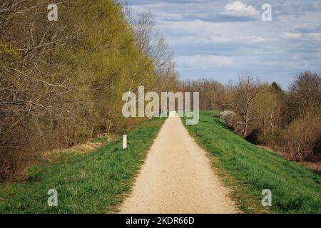 Weg auf einem Weichsel-Ufer im Warschauer Stadtteil Siekierki, Polen Stockfoto