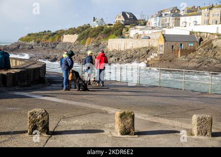 Porthleven,Cornwall,8.. November 2022,die Leute gingen trotz der extrem starken Winde in Porthleven, Cornwall, spazieren. Die Wellen waren etwa 16 Fuß mit rauer See und die Temperatur war 12C, die Vorhersage ist für Regen und starke Winde für heute.Quelle: Keith Larby/Alamy Live News Stockfoto