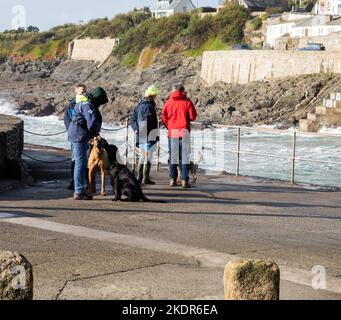 Porthleven,Cornwall,8.. November 2022,die Leute gingen trotz der extrem starken Winde in Porthleven, Cornwall, spazieren. Die Wellen waren etwa 16 Fuß mit rauer See und die Temperatur war 12C, die Vorhersage ist für Regen und starke Winde für heute.Quelle: Keith Larby/Alamy Live News Stockfoto