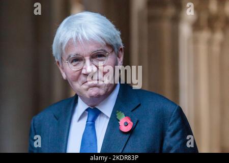 Downing Street, London, Großbritannien. 8.. November 2022. Der Abgeordnete Andrew Mitchell, Staatsminister (Minister für Entwicklung) im Außenministerium, Commonwealth and Development Office, nimmt an der wöchentlichen Kabinettssitzung in der Downing Street 10 Teil. Foto von Amanda Rose/Alamy Live News Stockfoto