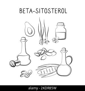 Beta-sitosterol-containing food. Groups of healthy products containing vitamins and minerals. Set of fruits, vegetables, meats, fish and dairy Stock Vektor