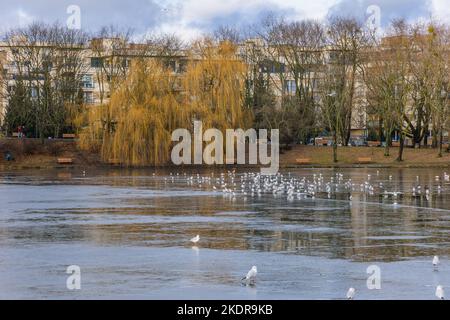 Tongrubenteich im Szczesliwicki Park im Stadtteil Ochota in Warschau, der Hauptstadt Polens Stockfoto