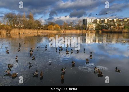 Tongrubenteich im Szczesliwicki Park im Stadtteil Ochota in Warschau, der Hauptstadt Polens Stockfoto