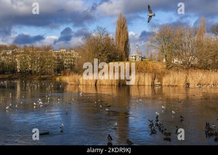 Tongrubenteich im Szczesliwicki Park im Stadtteil Ochota in Warschau, der Hauptstadt Polens Stockfoto