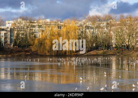 Tongrubenteich im Szczesliwicki Park im Stadtteil Ochota in Warschau, der Hauptstadt Polens Stockfoto